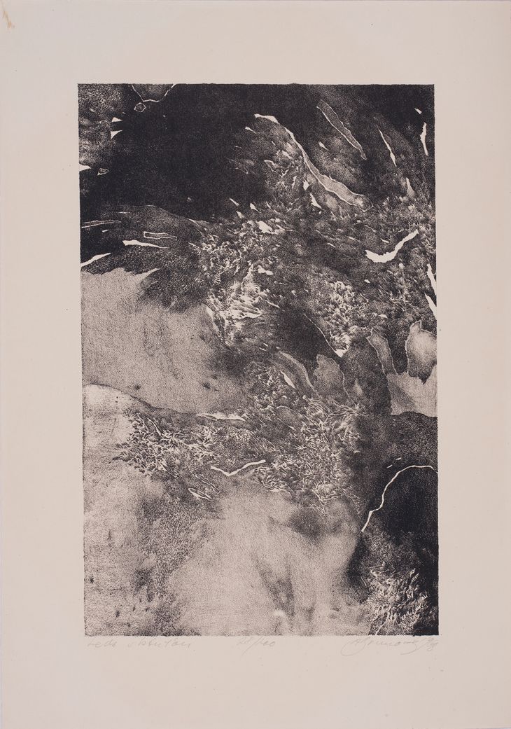 Léda s labuťou - 1